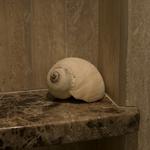 DeMane Design
Emperador Marble niche shelf